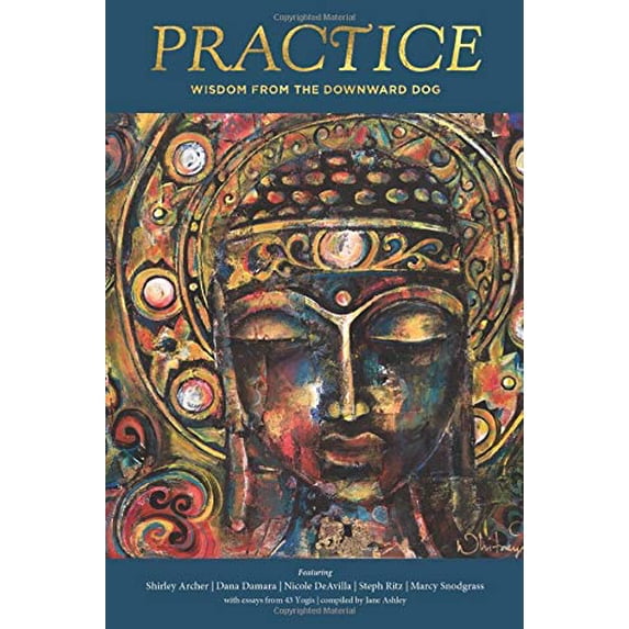 Pre-Owned Practice: Wisdom from the Downward Dog (Paperback) 1733740910 9781733740913