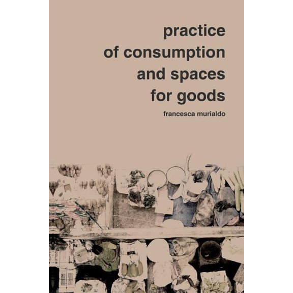 Practice of Consumption and Spaces for Goods (Paperback)