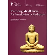 Practicing Mindfulness An Introduction to Meditation
