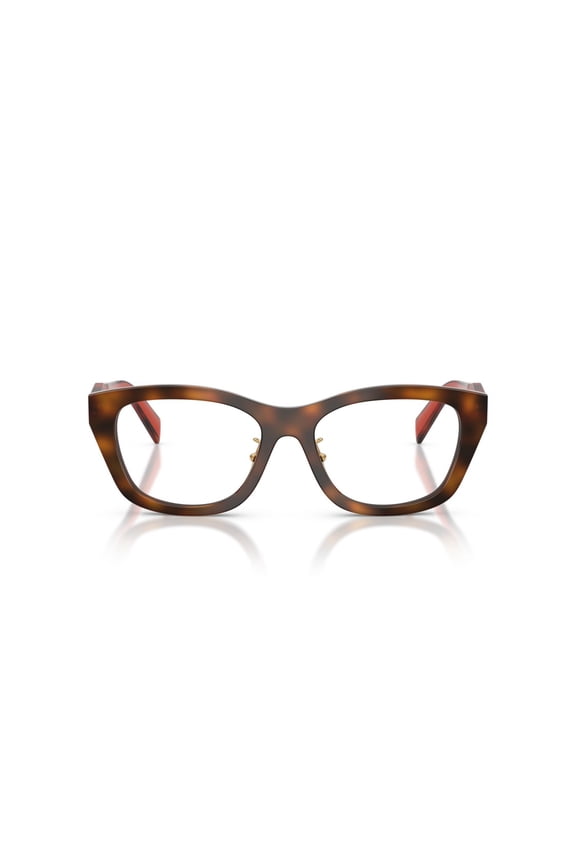 Women's 0Pr D11vd Oversized Square Frame Sunglasses Brown