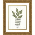 thumbnail image 1 of Prahl, Courtney 15x18 Gold Ornate Wood Framed with Double Matting Museum Art Print Titled - Herb Garden VII, 1 of 4