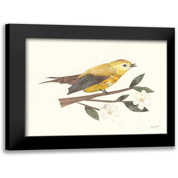 Prahl, Courtney 24x19 Black Modern Framed Museum Art Print Titled - Birds and Blossoms I