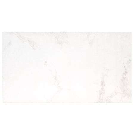 Praia Carrara 13 in. x 24 in. Matte Porcelain Pool Coping (4.33 sq. ft. / case)