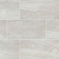 thumbnail image 1 of Praia Gray 12 in. X 24 in. Polished Porcelain Floor And Wall Tile ( 16 Sq. Ft./Case ), 1 of 5