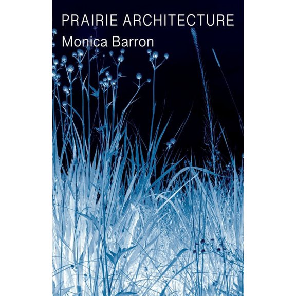 Prairie Architecture, (Paperback)