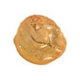 thumbnail image 1 of Prairie City Bakery White Chocolate Macadamia Nut Down Home Cookies, 3 Ounce - 72 per case., 1 of 2