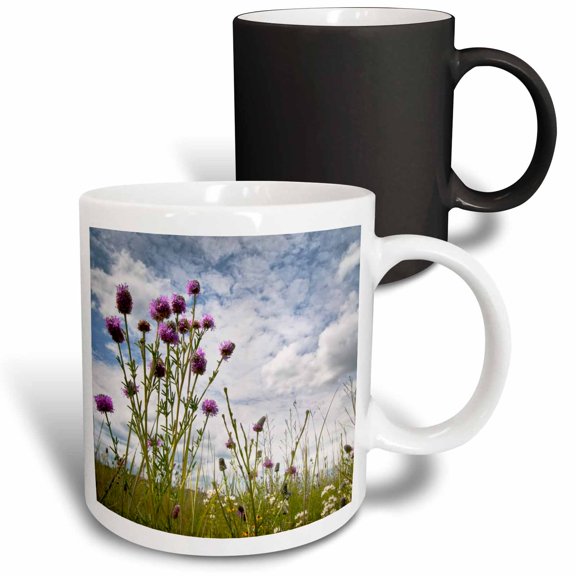 3drose, Prairie Clover, Crow Hassan County Park, Minnesota - Us24 Rsp0007 - Rob Sheppard, 11oz Magic Transforming Mug