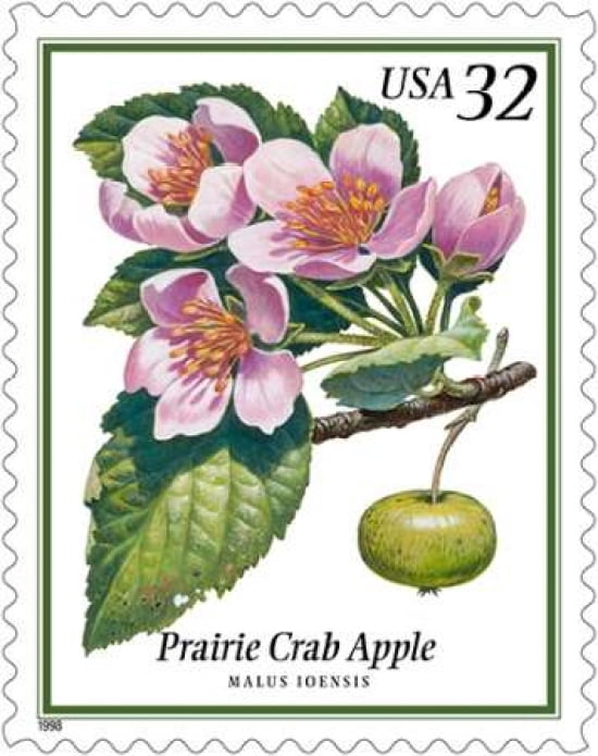 Prairie Crab Apple Canvas Art - US POSTAL SERVICE (24 x 30)