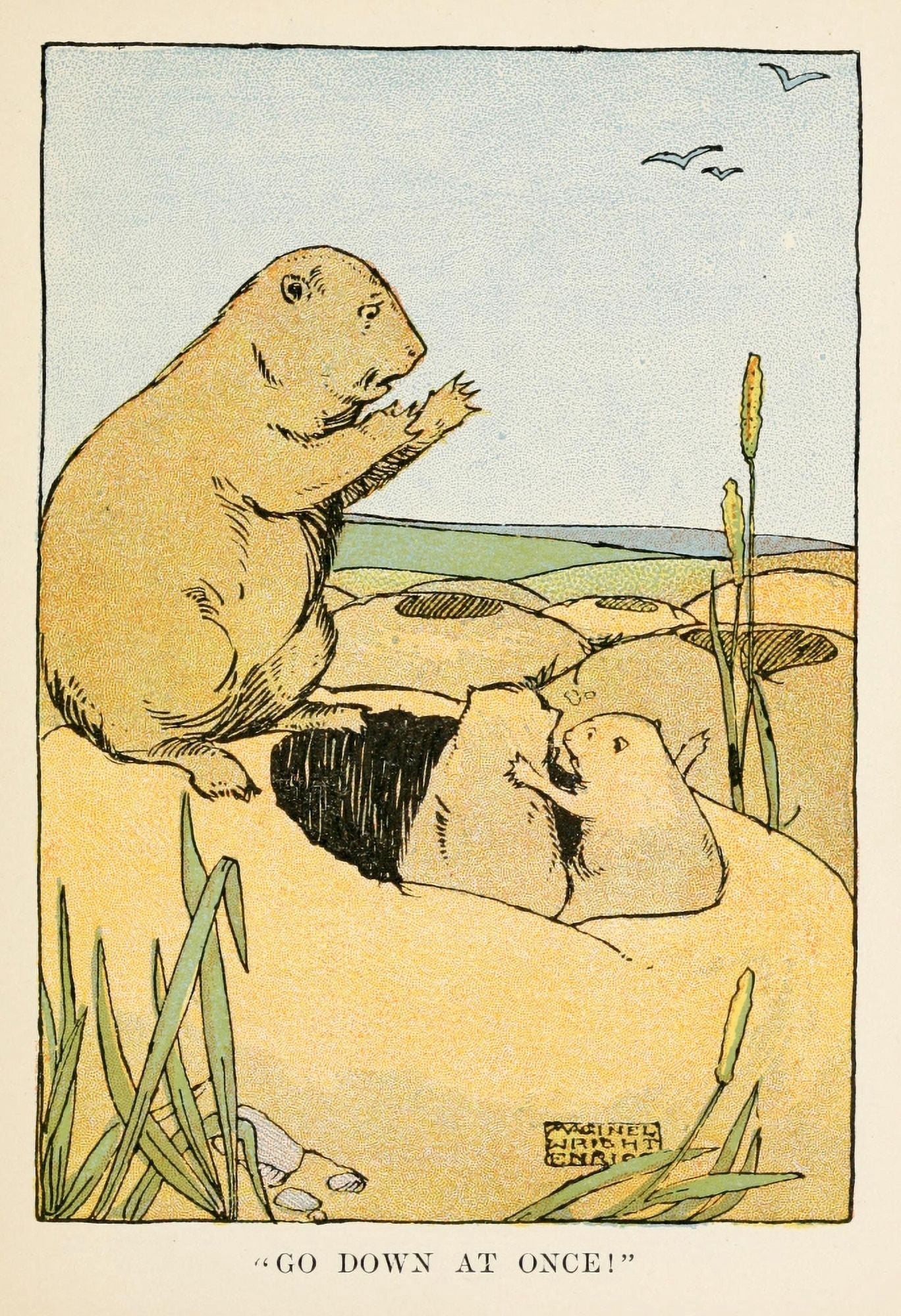 Prairie-Dog Town 1906 Go down at once Canvas Art - M Wright Enright (24 x 36)