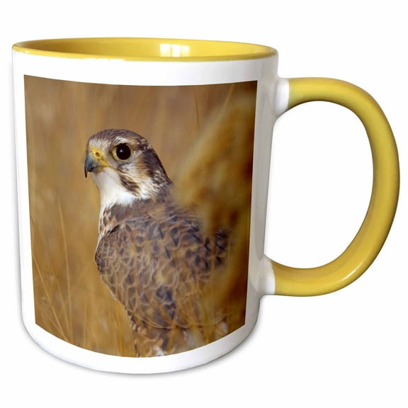 3drose, Prairie Falcon Bird - Na02 Rbr0032 - Rick A. Brown, 11oz Two-tone Yellow Mug
