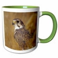 thumbnail image 1 of 3drose, Prairie Falcon Bird - Na02 Rbr0032 - Rick A. Brown, 15oz Two-tone Green Mug, 1 of 6