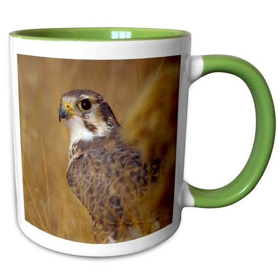 3drose, Prairie Falcon Bird - Na02 Rbr0032 - Rick A. Brown, 15oz Two-tone Green Mug