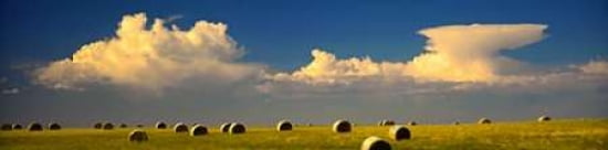 Prairie Haybales Canvas Art - Steve McMahon (8 x 24)