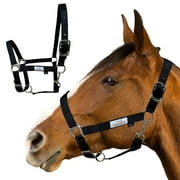 Prairie Horse Supply Nylon Horse Halter, Black - 1 Inch Wide, Horse Halter Adjustable, Horse Harness, Pony Halter, Horse Equipment and Supplies - Ideal for Equestrian Use