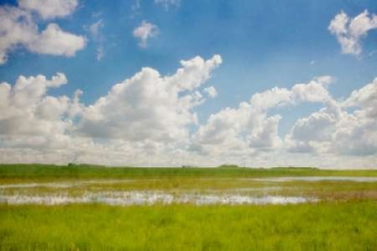 Prairie Slough In Summer Canvas Art - Roberta Murray (12 x 18)