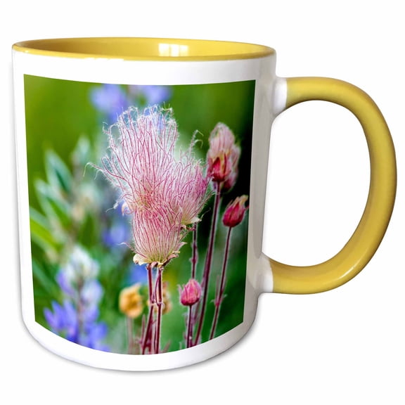 3drose, Prairie Smoke Flowers in Aspen Grove in Glacier Np, Montana, Usa, 11oz Two-tone Yellow Mug
