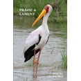 thumbnail image 1 of Praise & Lament: Psalms for the God of Birds, (Paperback), 1 of 1