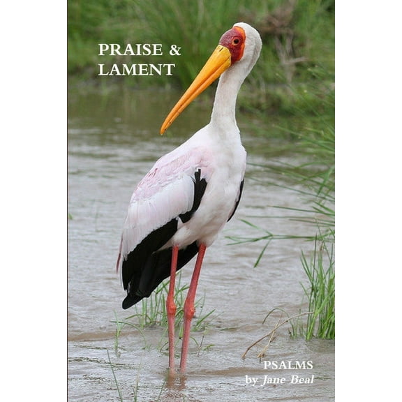 Praise & Lament: Psalms for the God of Birds, (Paperback)