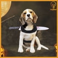 thumbnail image 1 of Prank Tool Pet Costume Harness Dogs Cats Funny Theme Halloween Party YingMart Cosplay (Bottle, S), 1 of 6
