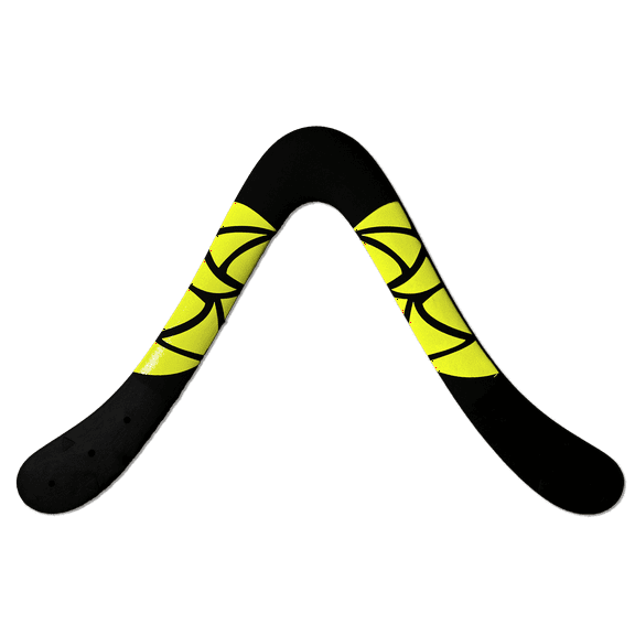 Prasad Sport Boomerang - carbon infused plastic boomerang for precision throwing