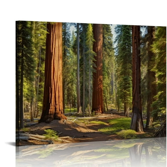 Pratyus Autumn Tree California Canvas Artwork Redwood Trees Sequoia National Park Wall Decor for Bedroom and Living Room - Home Art Decor, Ideal Gift Choice 16x12in