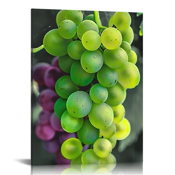 Pratyus Grapes Vineyard Canvas Wall Art Decor for Home Decor Living Room Bedroom Office - Ready to Hang 12x16in