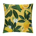 thumbnail image 1 of Pratyus Lemons Leaves Flowers Square Pillow Cover Case for Cushions Sofa Bed Outdoor Decoration 1PC 20x20in, 1 of 5