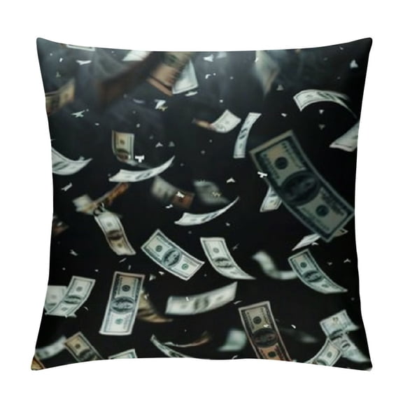 Pratyus Money Theme Modern Rustic Decorative Pillow Cases with Zipper Home Decor 1PC 18x18in