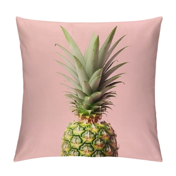 Pratyus Pineapple Pillow Covers Square Design Indoor Outdoor Sofa Couch Decorative Pillow Case 1PC 24x24in