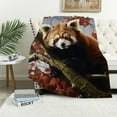 thumbnail image 1 of Pratyus Red Panda Throw Blanket for Couch Sofa Bed Office Travel Camping School Flannel Lightweight Soft Blanket All Seasons 60x80in, 1 of 6
