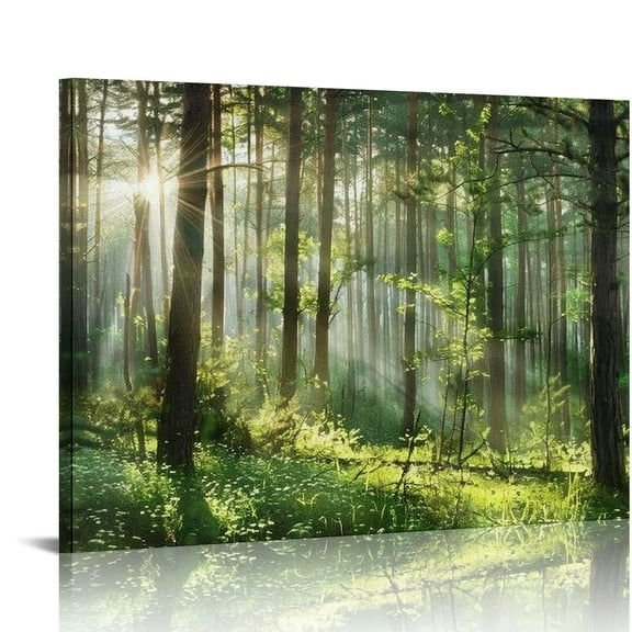 Pratyus Sunlight Forest Canvas Wall Art Modern Prints - Ready To Hang Home Room Decor 16x12in