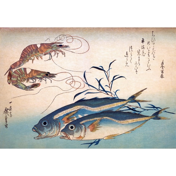 Prawn (Kuruma ebi) and Horse Mackerel (Aji), from the series A Shoal of Fishes (Uo-zukushi), Late Edo period, 19th century Poster Print by Hiroshige (18 x 24)