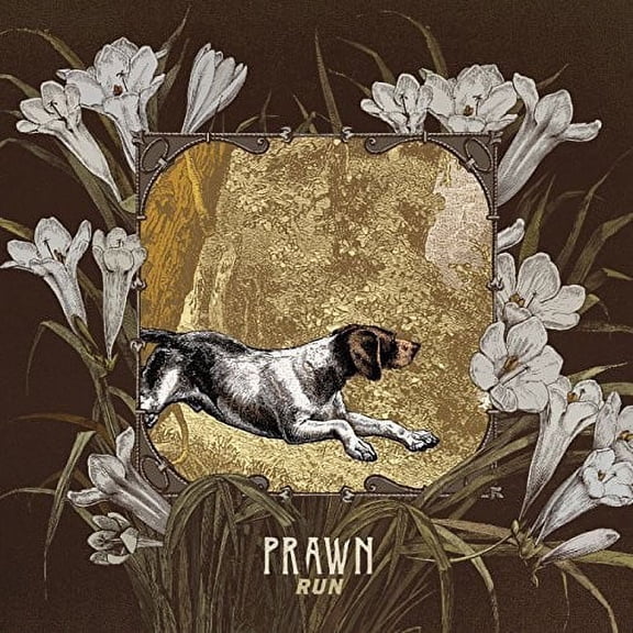 Prawn - Run - Music & Performance - Cassette