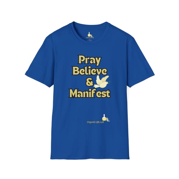 Pray Believe and Manifest Unisex Softstyle T-Shirt