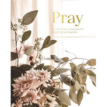 Pre-Owned Pray: Cultivating a Passionate Practice of Prayer Paperback