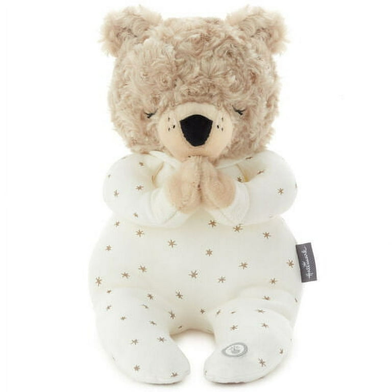 Recordable bear sales walmart