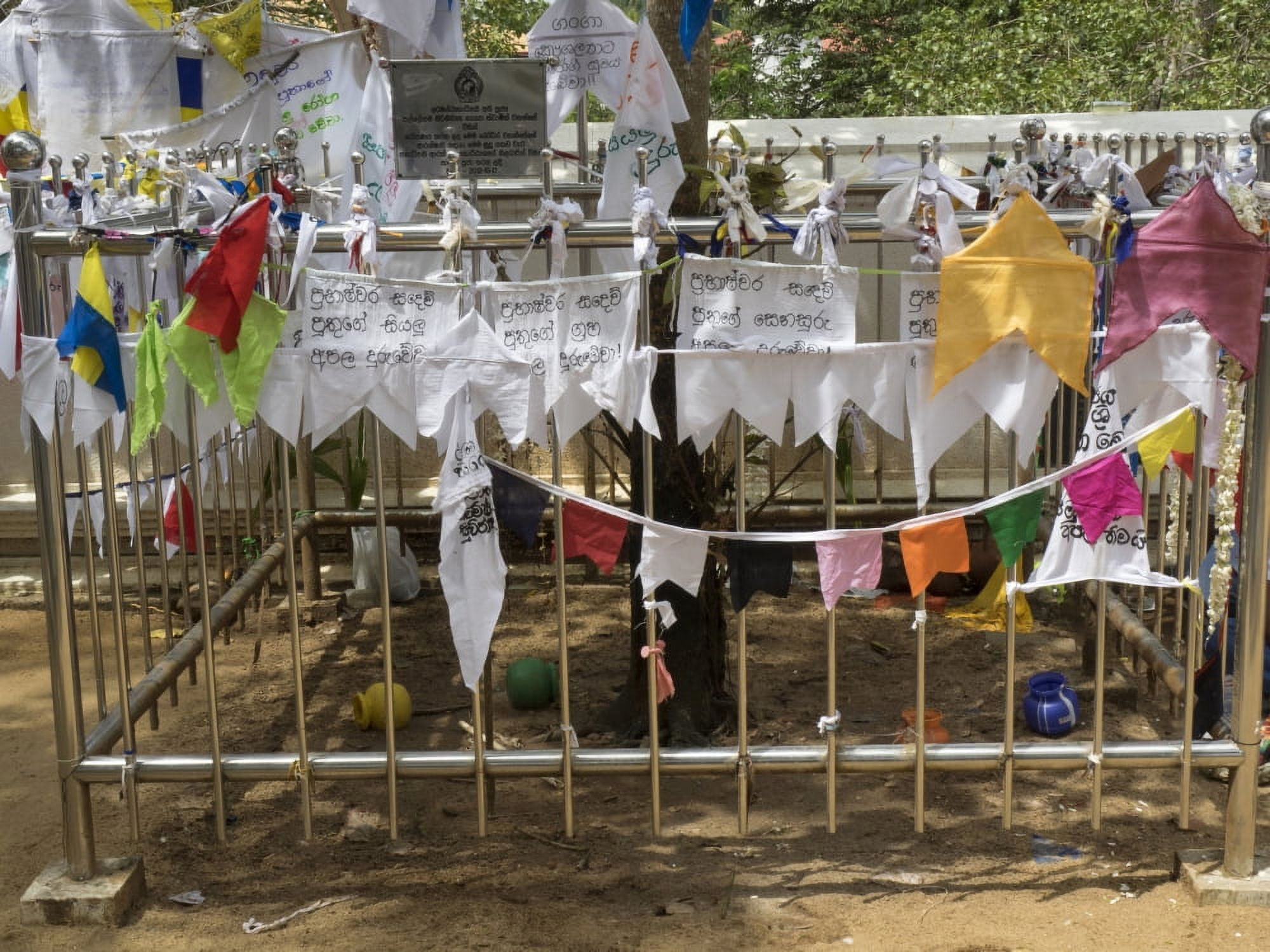 Prayer flags at the Great Monastery where the Sri Maha Bodhi Tree is located Anuradhapura North Central Province Sri Lanka Canvas Art - Panoramic Images (12 x 16)