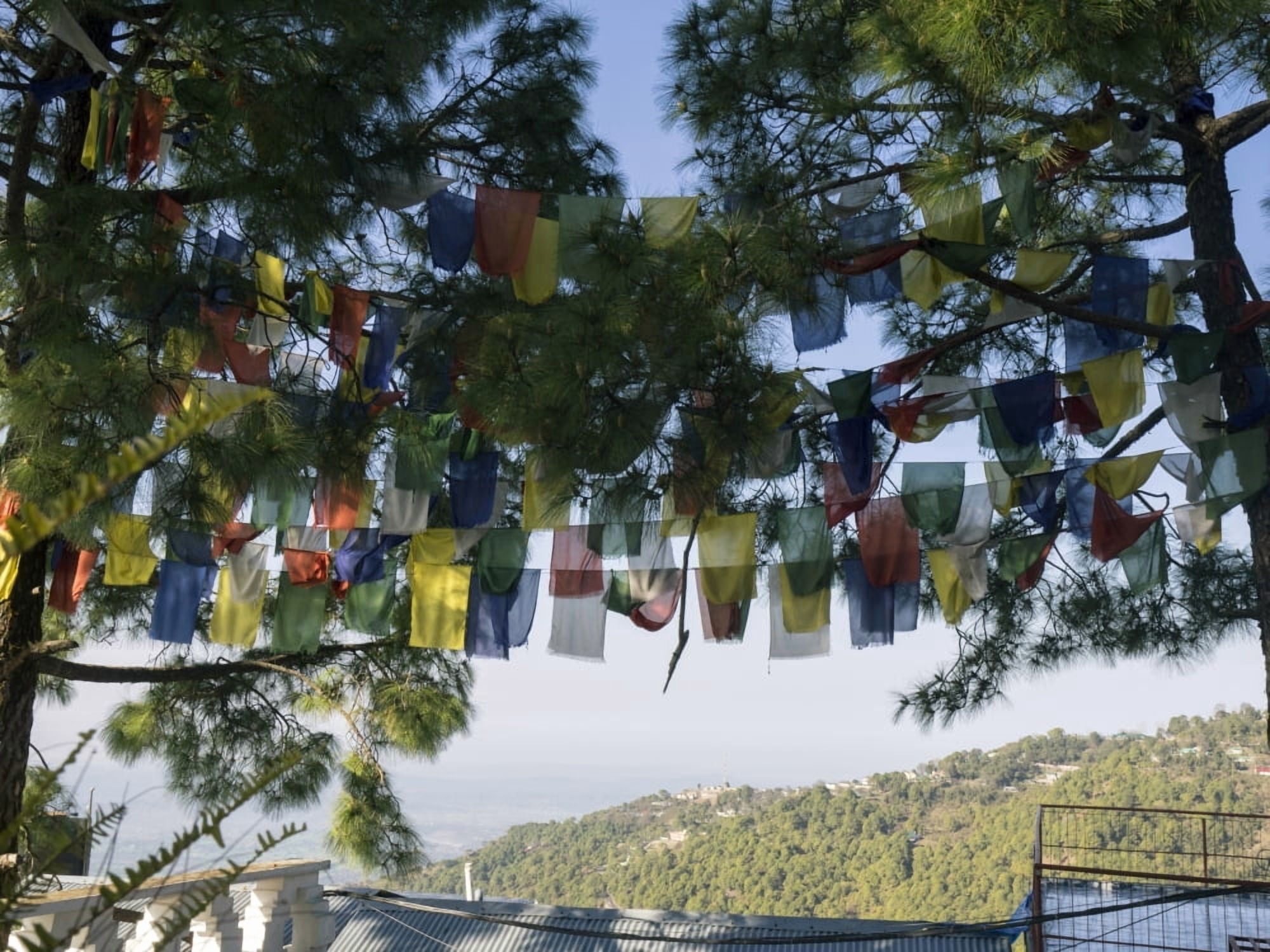 Prayer flags Upper Dharamsala Himachal Pradesh India Canvas Art - Panoramic Images (12 x 16)