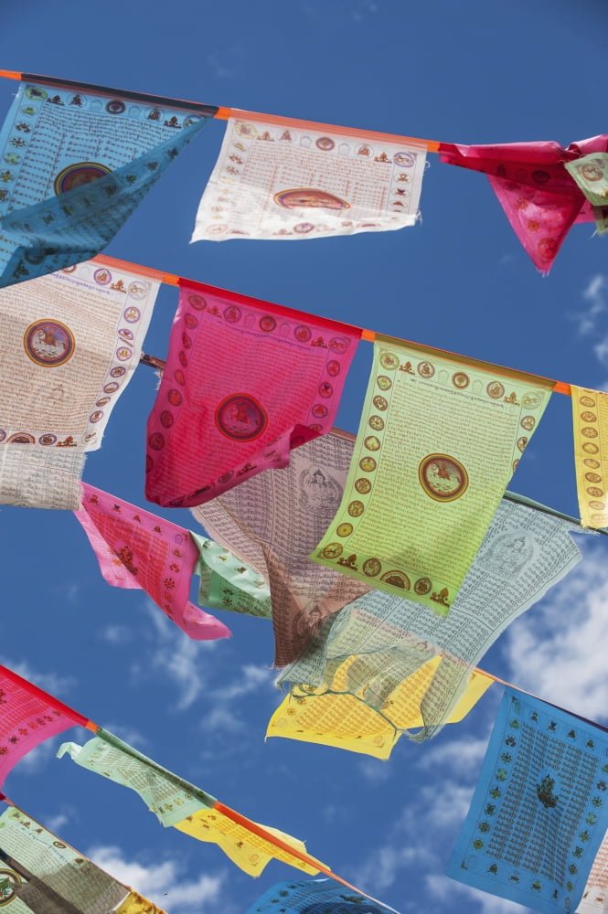 Prayer flags in the breeze Zhongdian Yunnan China Canvas Art - Spencer Robertson Design Pics (12 x 19)