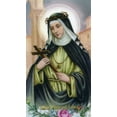 Prayers in honor of St. Rose of Lima holy card laminated Pack of 25