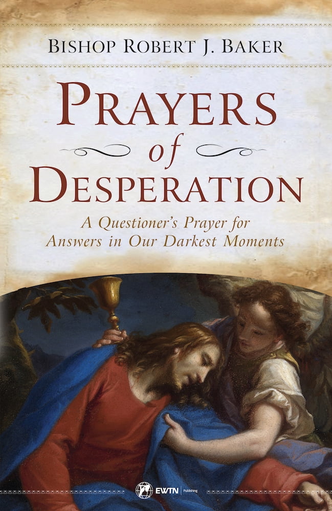 Pre-Owned Prayers of Desperation: A Questioner's Prayer for Answers in Our Darkest Moments (Paperback) 1682783421 9781682783429