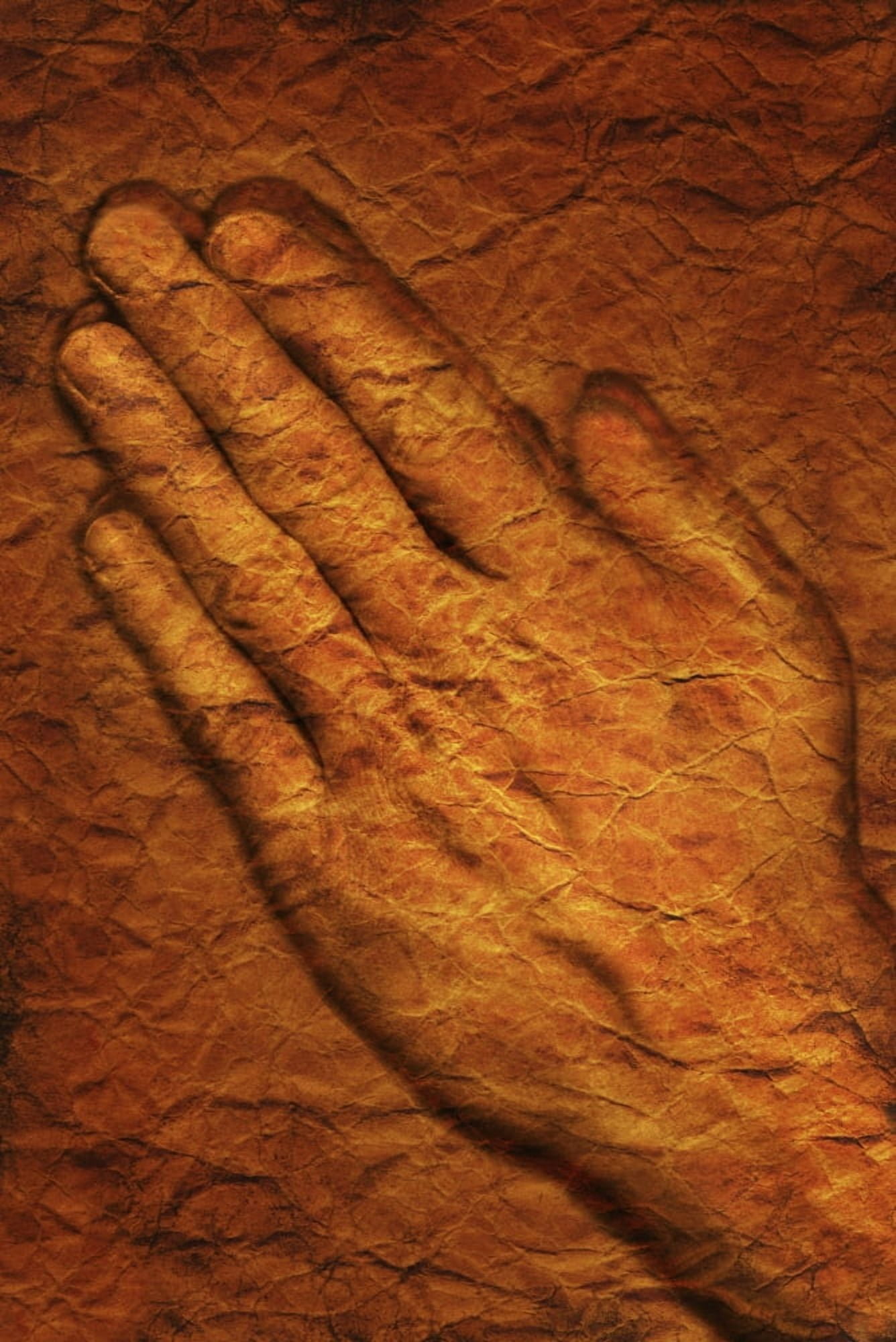 Praying Hands Canvas Art - Don Hammond  Design Pics (11 x 17)
