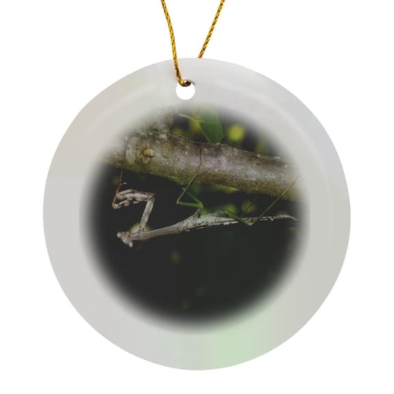 3drose, Praying Mantis, Circle Porcelain Ornament