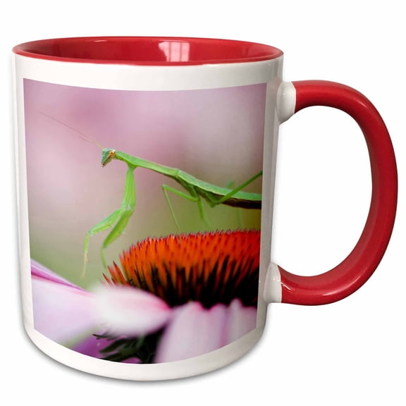 3drose, Praying Mantis Insect, Pennsylvania - Us39 Rkl0008 - Raymond Klass, 11oz Two-tone Red Mug