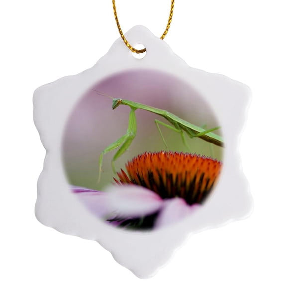3drose, Praying Mantis Insect, Pennsylvania - Us39 Rkl0008 - Raymond Klass, 3 inch Snowflake Porcelain Ornament