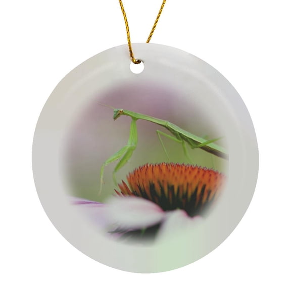 3drose, Praying Mantis Insect, Pennsylvania - Us39 Rkl0008 - Raymond Klass, Circle Porcelain Ornament