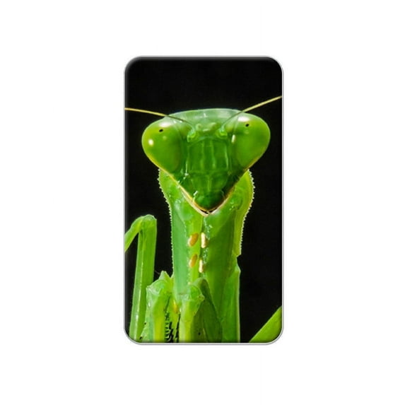 Praying Mantis Lapel Hat Pin Tie Tack