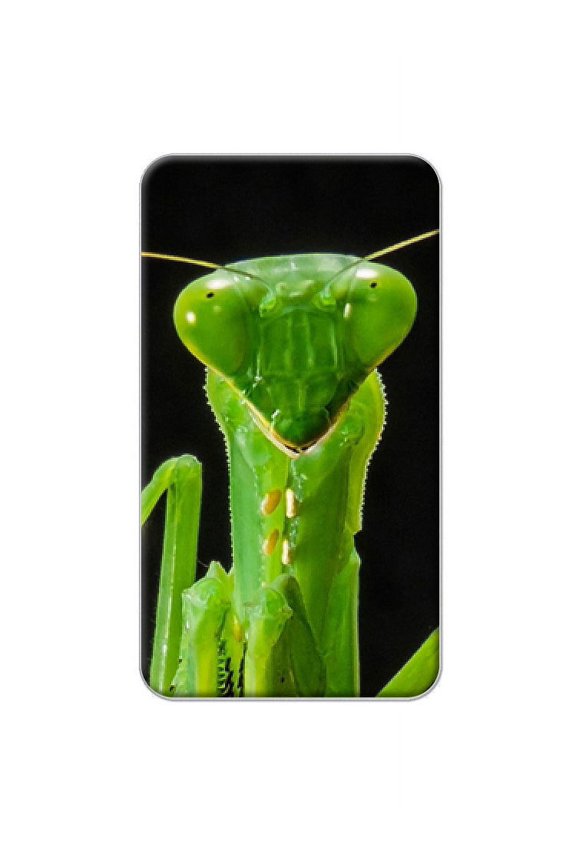 Praying Mantis Lapel Hat Pin Tie Tack