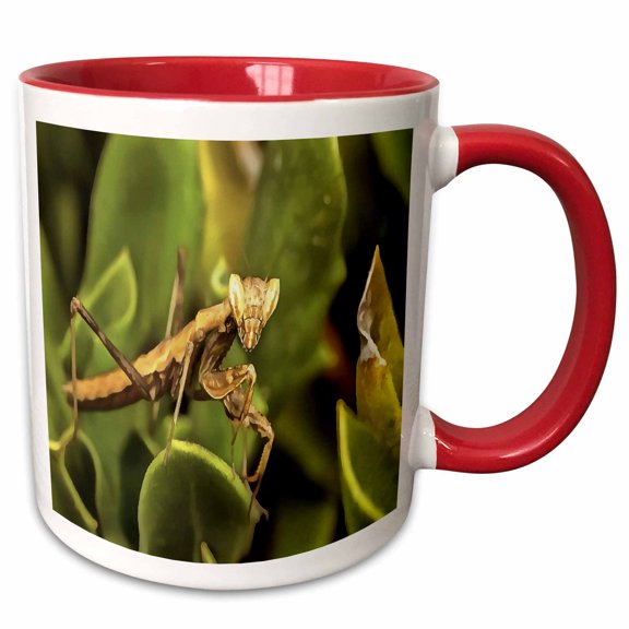 3drose, Praying Mantis on Green Garden Background, 15oz Two-tone Red Mug