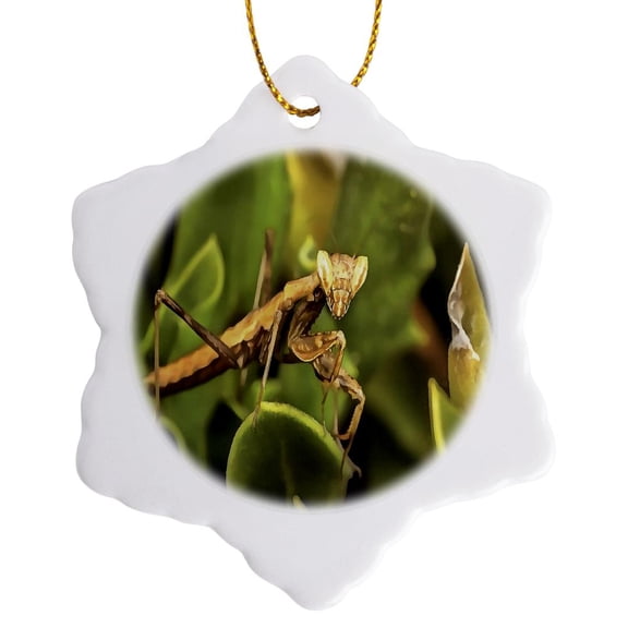 3drose, Praying Mantis on Green Garden Background, 3 inch Snowflake Porcelain Ornament